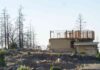 California’s History of Wildfires: A Cycle of Destruction and Reconstruction californias-history-of-wildfires-a-cycle-of-destruction-and-reconstruction